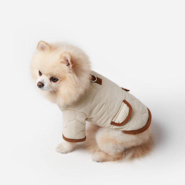 ARISTOPET – wholesale Hundjacka - Hund – Spencer-jacka för husdjur med vaddering och stilren design7