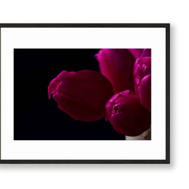 Tulip | N° 23 pour la vente par Chelsey Walker Creative