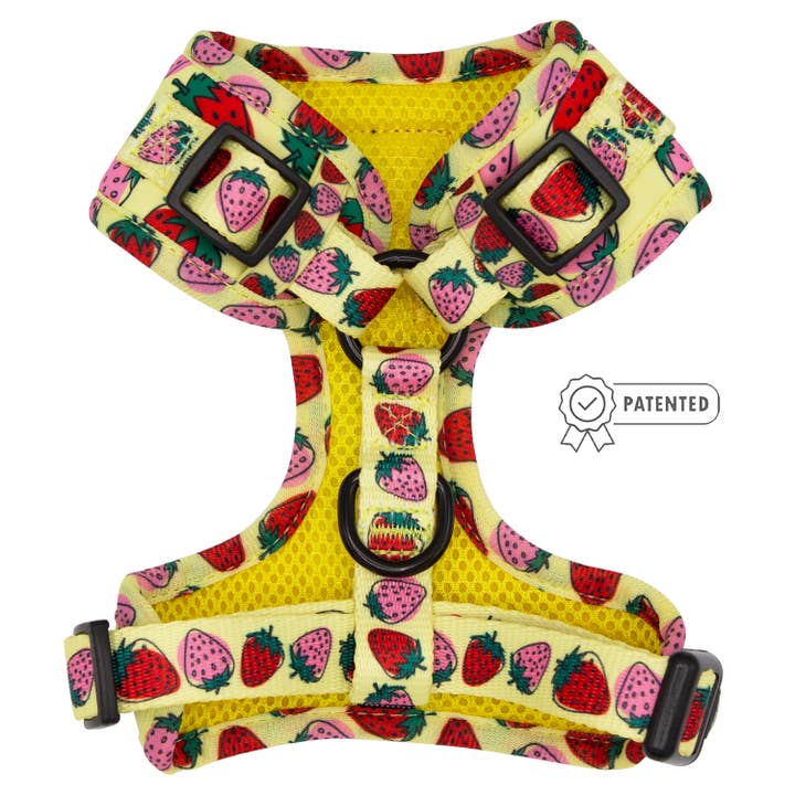 SASSY WOOF - Wholesale Pet Harness - Dog - Dog Adjustable Harness - Strawberry Fields Furever (Spring)