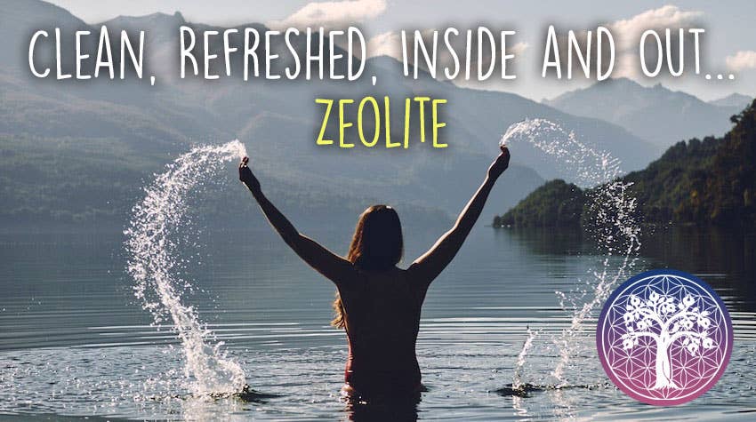 Ancient Purity - Vente Supplément oral/vitamine - Poudre de zéolite - 350g (< 25 microns) Nettoyage détox HM6