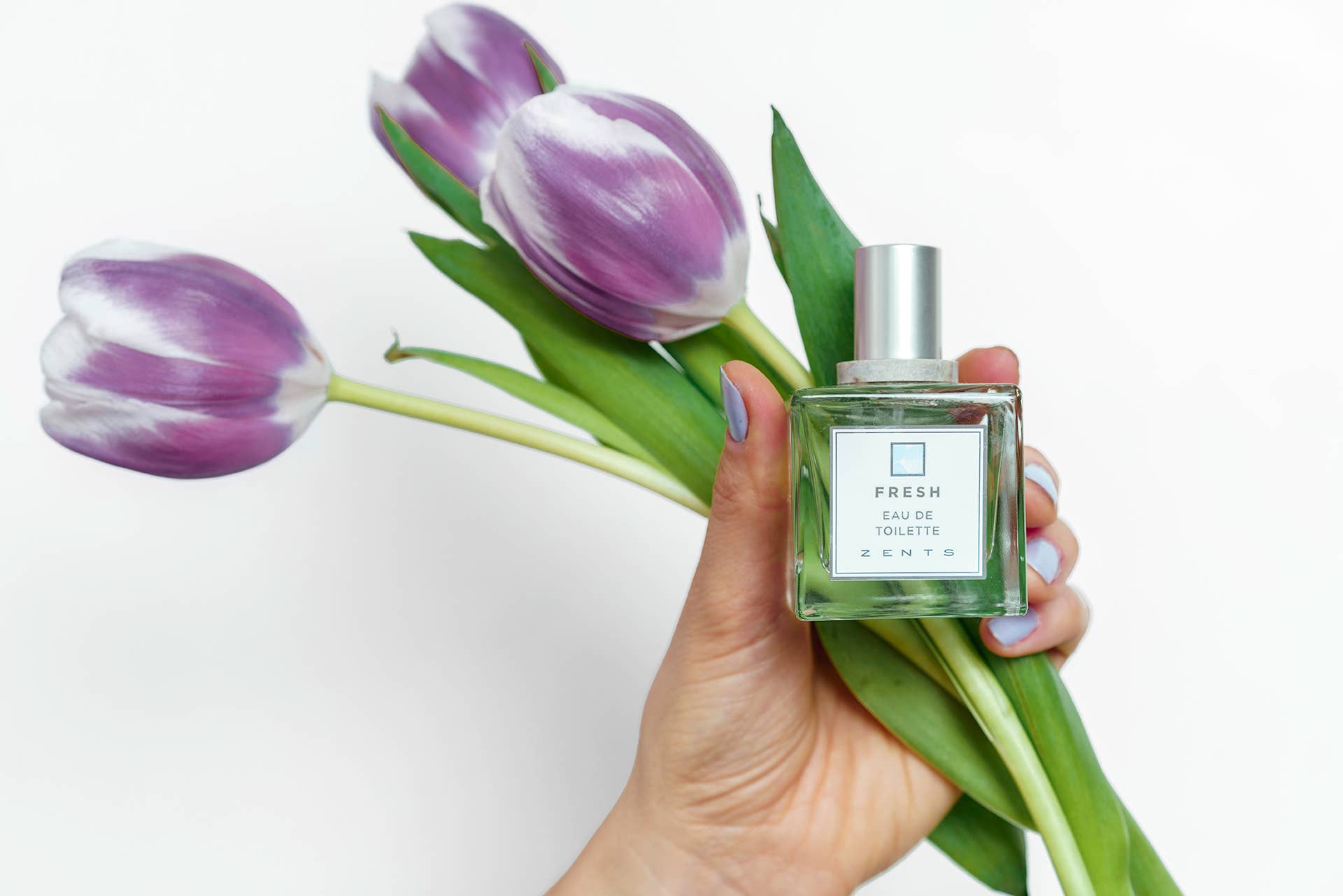 ZENTS - Wholesale Perfume/Eau de Toilette - Fresh, ZENTS Gentle Eau de Toilette Spray, 1.69oz2