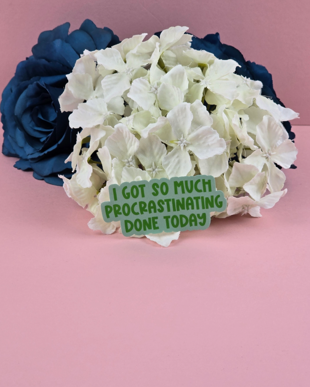 The Grumpy Tortoise - Wholesale Sticker - Waterproof Sticker - I got so much procrastinating done today - Sarcastic Sticker - Funny Sticker - Sassy1