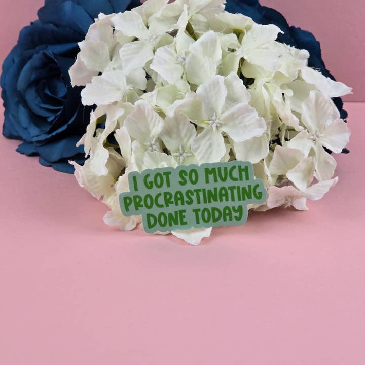 The Grumpy Tortoise - Wholesale Sticker - Waterproof Sticker - I got so much procrastinating done today - Sarcastic Sticker - Funny Sticker - Sassy1