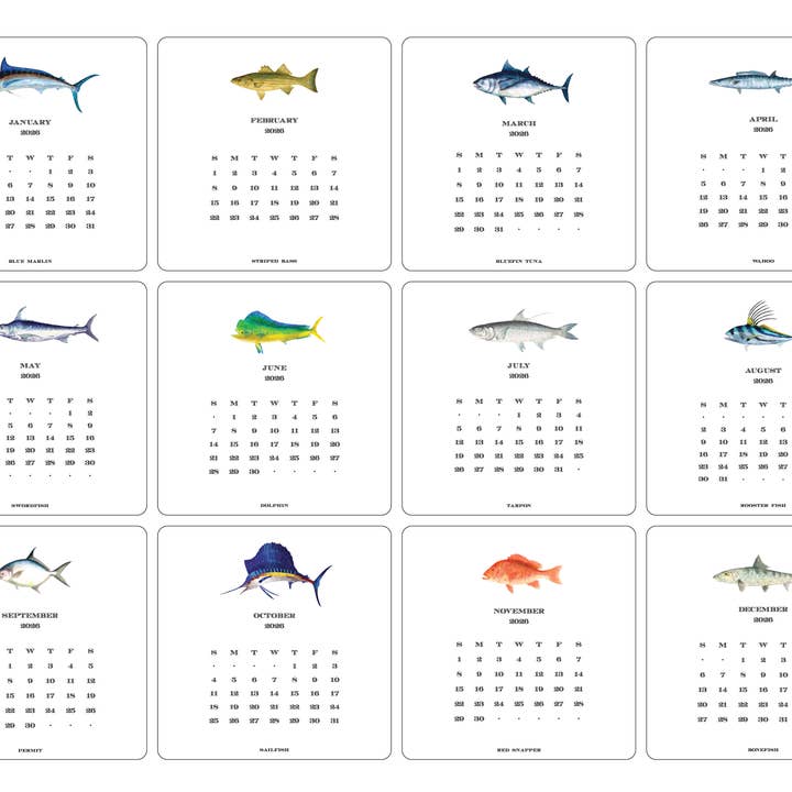 Maison de Papier - Wholesale Calendar - 2026 Saltwater Fish Calendar with Easel