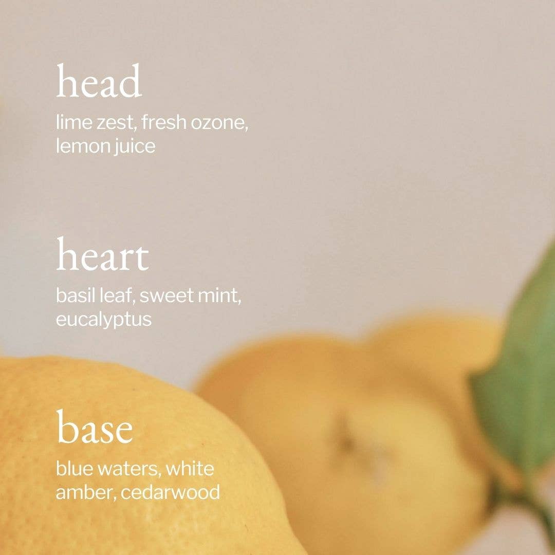 SOJA&CO.® - Vente Spray de nettoyage multi-usage - Nettoyant tout usage | Citron, Sauge & Romarin2