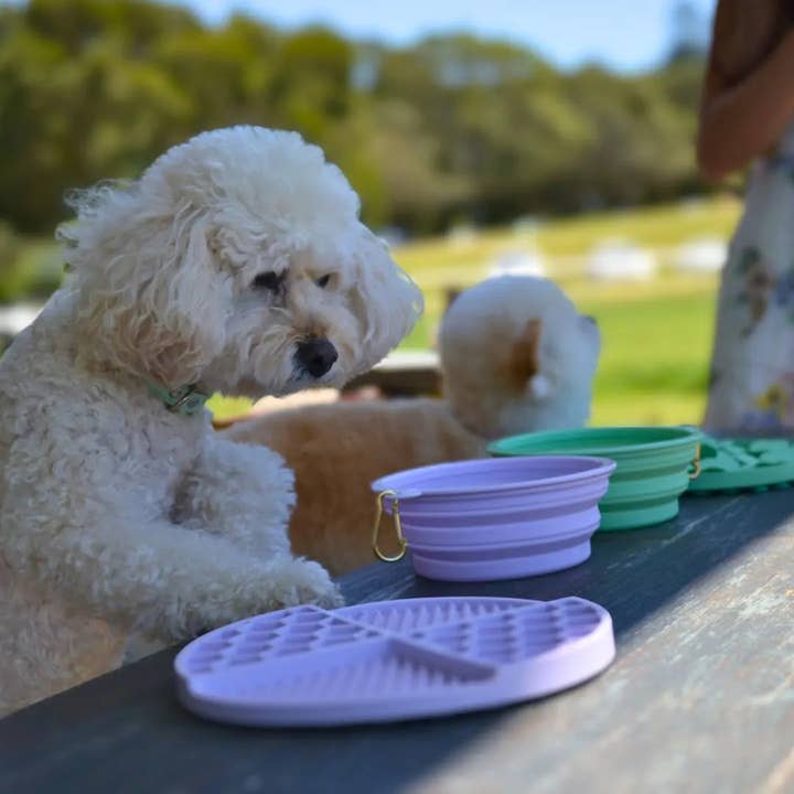 DOGUE Slow Feeder Dog Puzzle and other Purchase Wholesale feeder goldfish. Free Returns & Net 60 Terms on Faire trending on Faire.