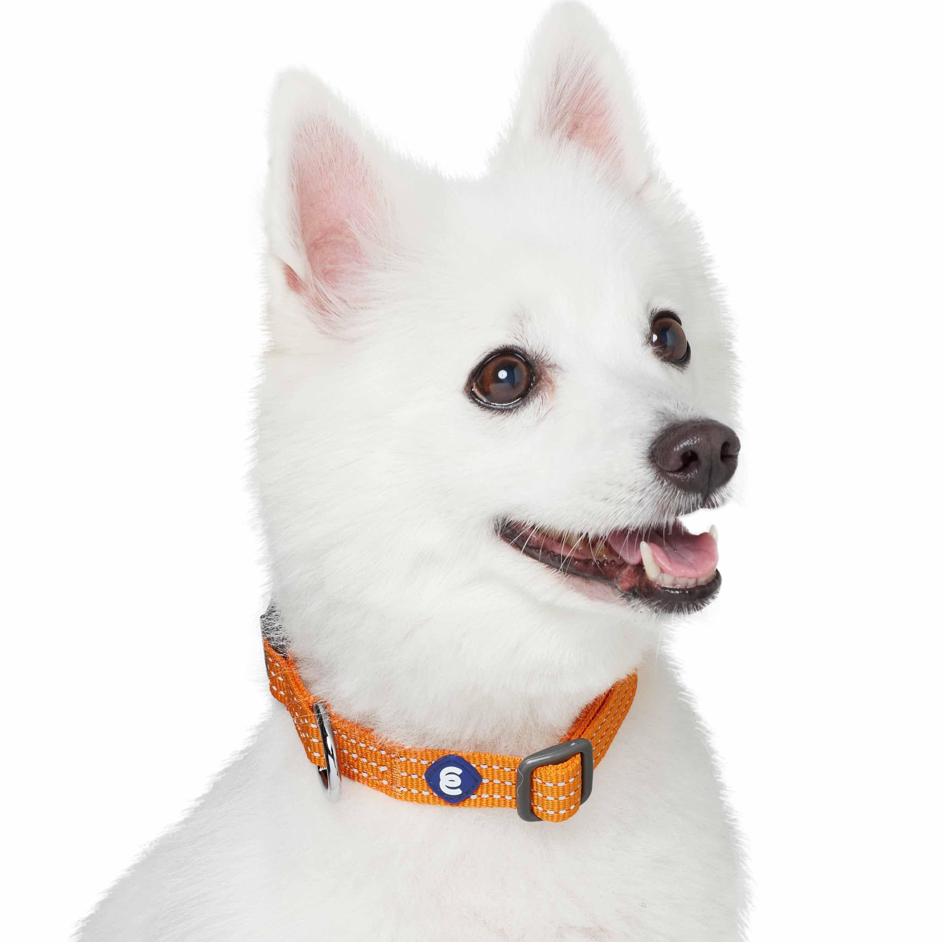 Blueberry Pet - Venta al por mayor Collar - Perros - Collar reflectante para perros Better Basic en 8 colores20