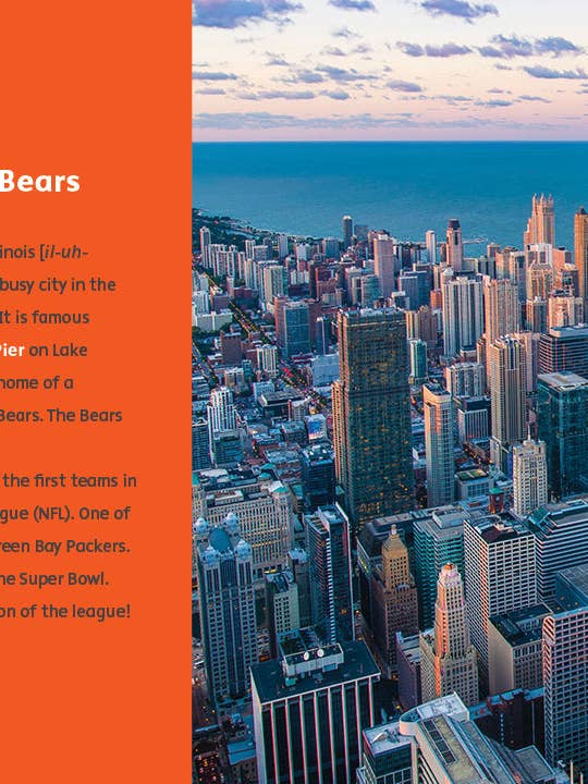 Sports créatifs : Champions du Super Bowl : Chicago Bears (2023) pour la vente par The Creative Company