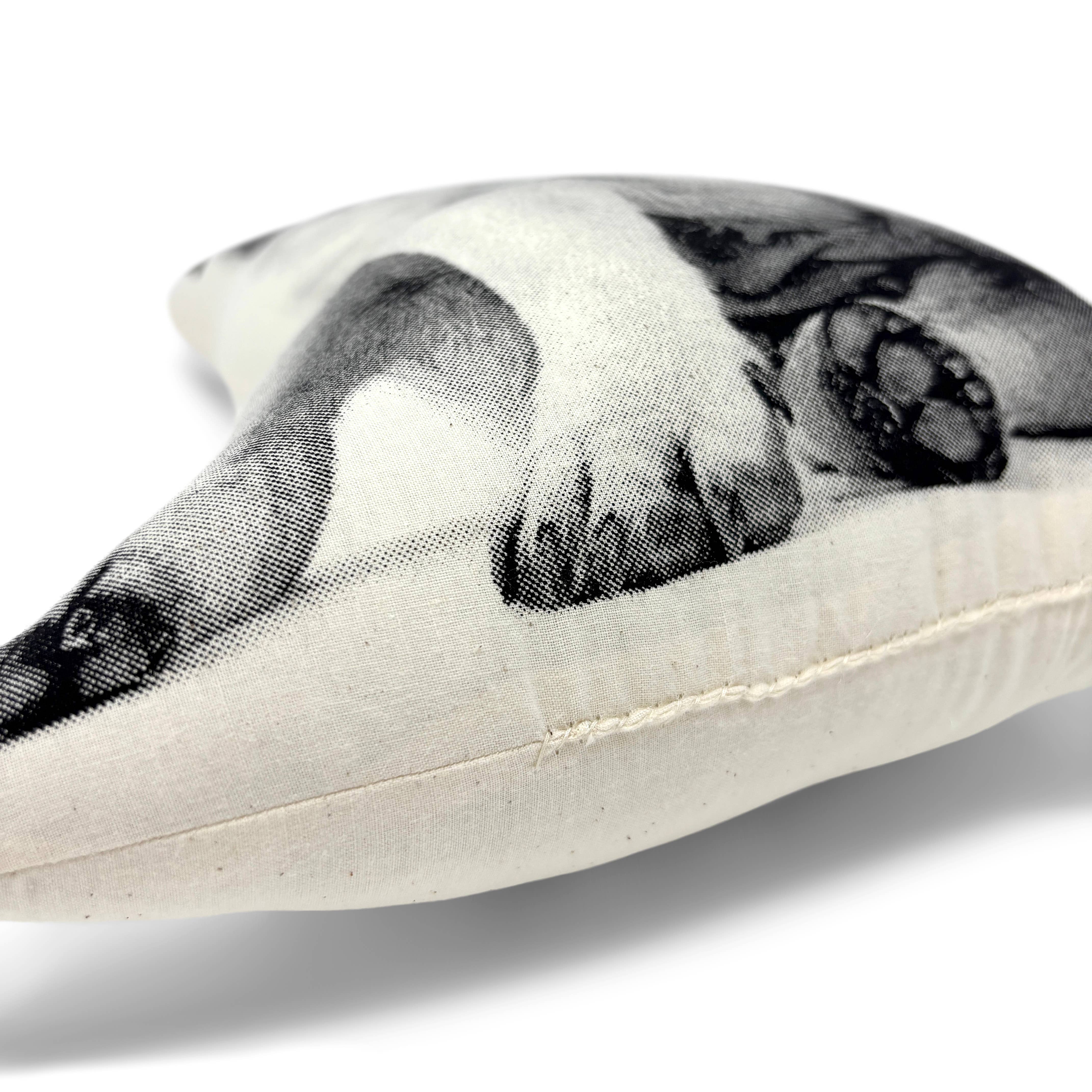 Broderpress - Wholesale Throw/Decorative Pillow - Pug Pillow3