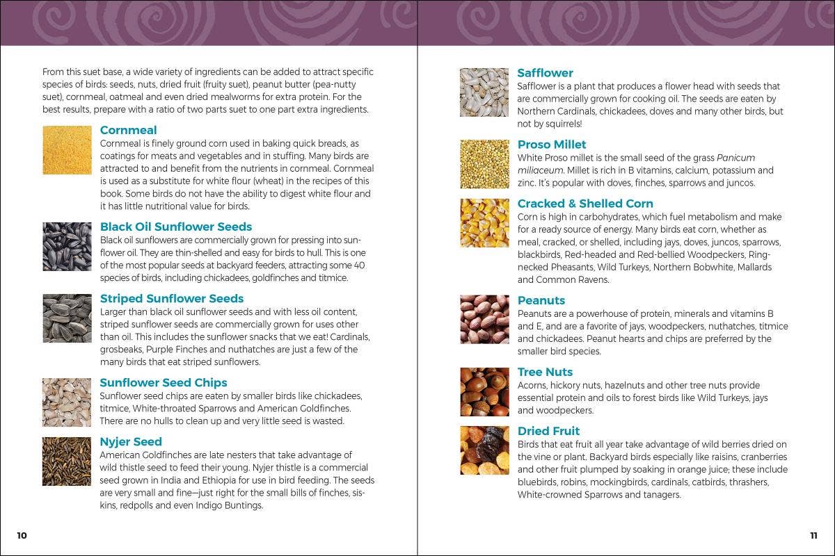 AdventureKEEN - Wholesale Nature & Outdoors - Homemade Bird Food 2e4