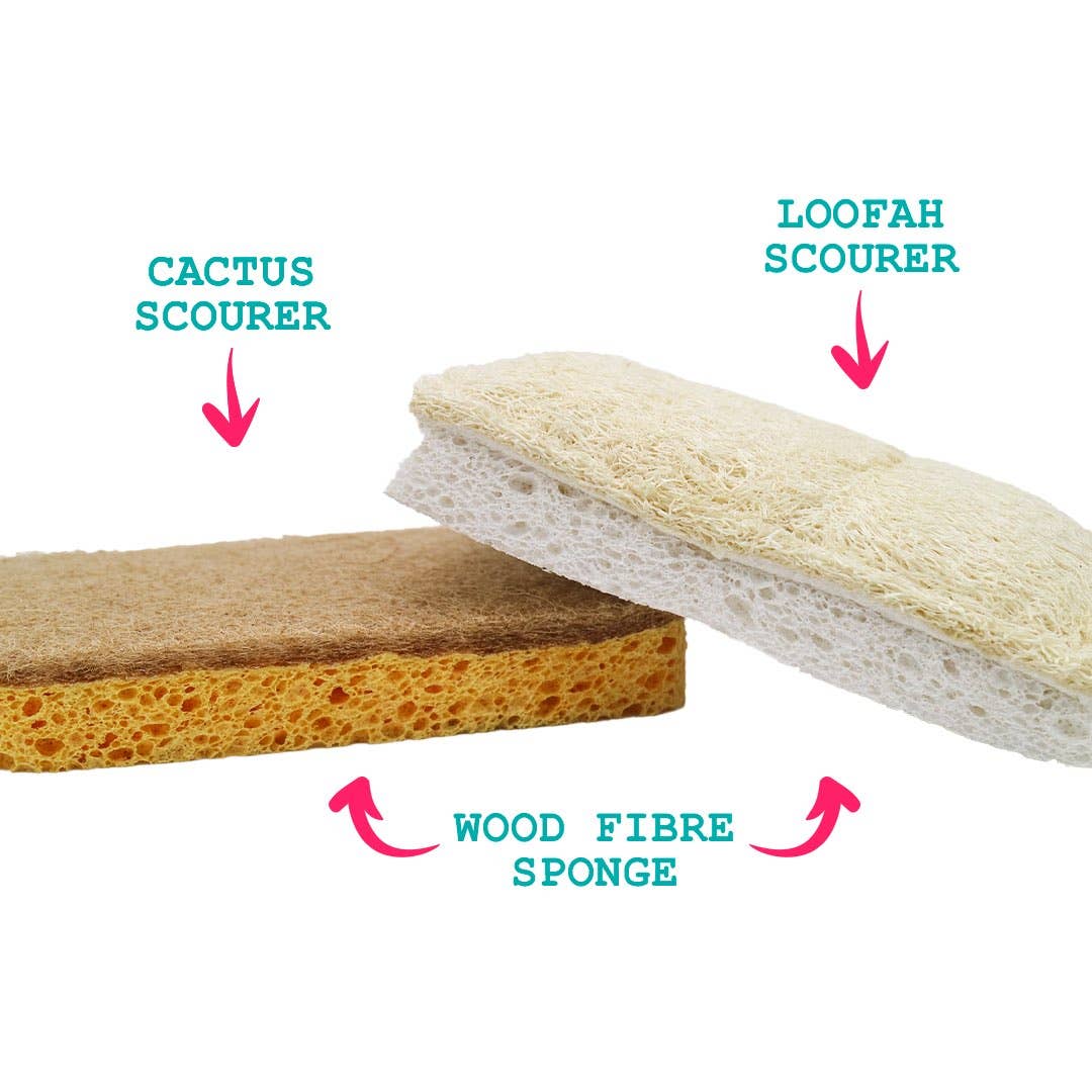 EcoVibe – wholesale Cleaning sponge – Compostable Eco-Scourers & Sponge Bundle2