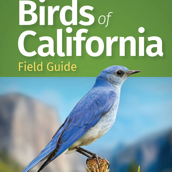 AdventureKEEN - Wholesale Nature Guide - Birds of California Field Guide 2e