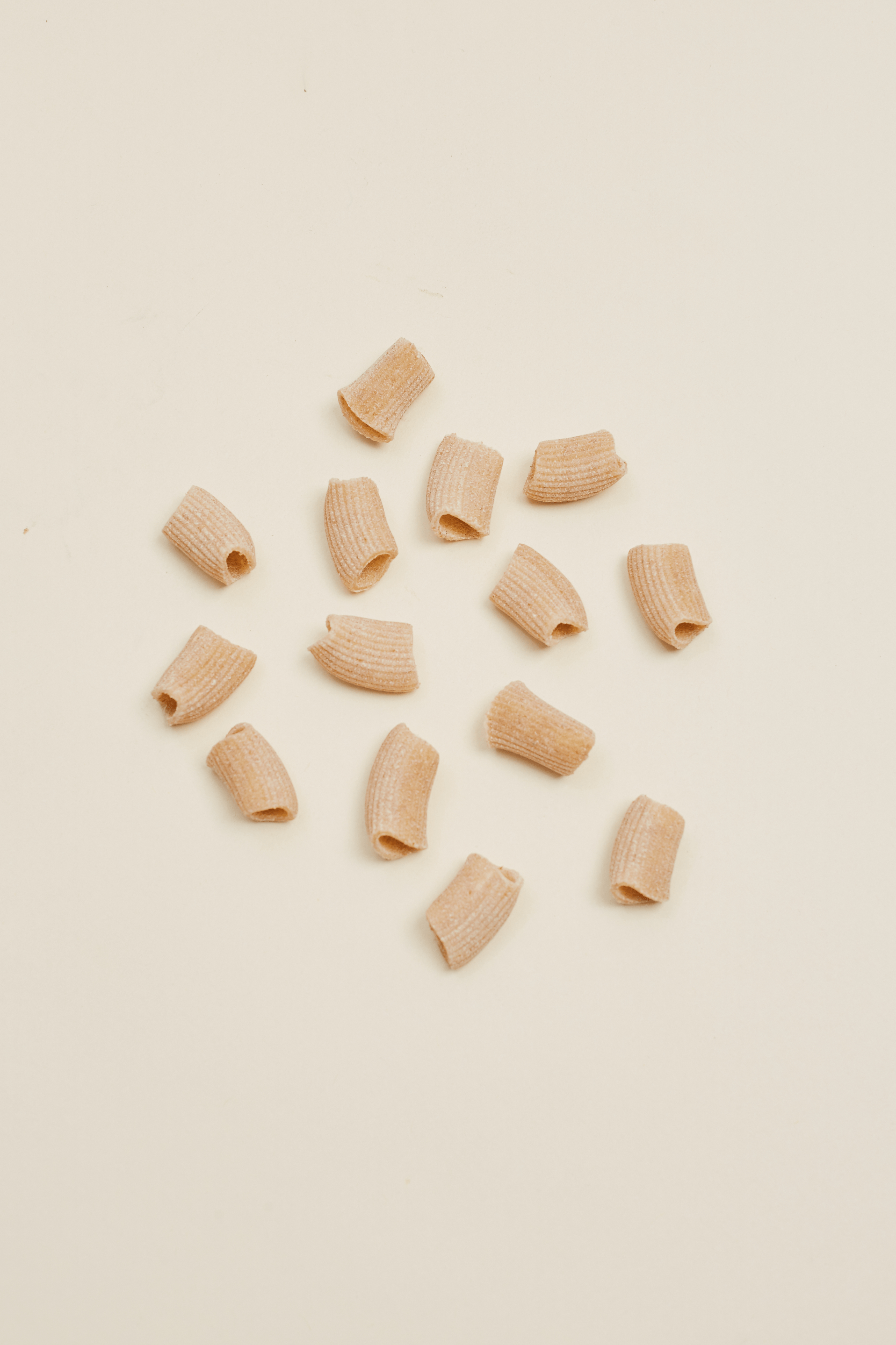 L'Isolina Pasta - Wholesale Pasta - Regenerative Whole-Grain Rigatoni - L'Isolina “Farmed for Flavor” Pasta1