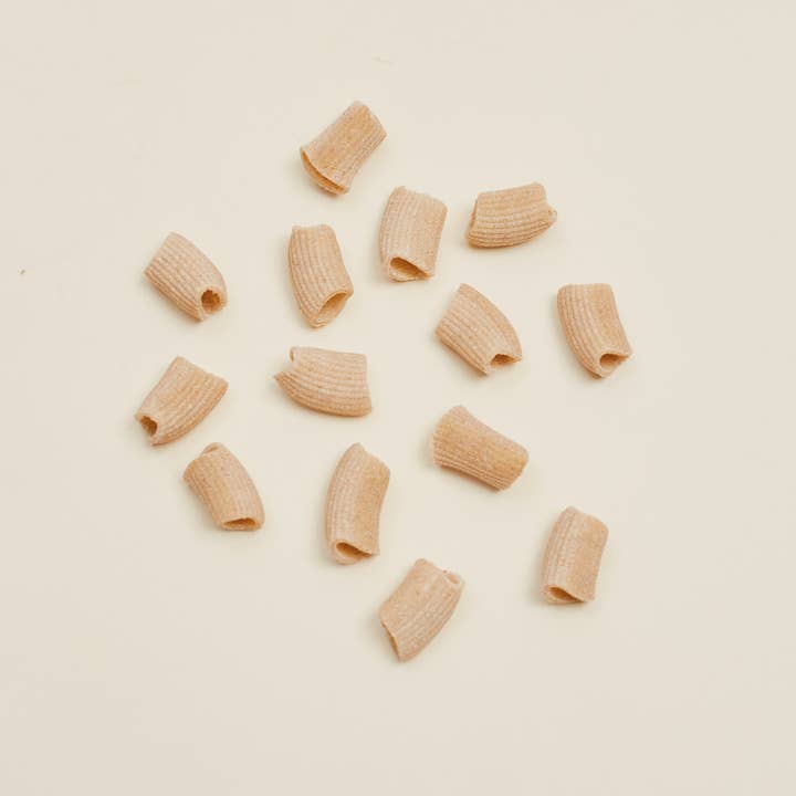 L'Isolina Pasta - Wholesale Pasta - Regenerative Whole-Grain Rigatoni - L'Isolina “Farmed for Flavor” Pasta1