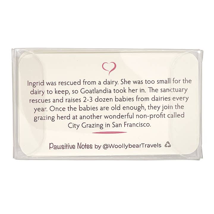 Woollybear Travels - Wholesale Stationery/Notecard Set - Pawsitive Notes- Baby Goat (Lunch Box Notes)5