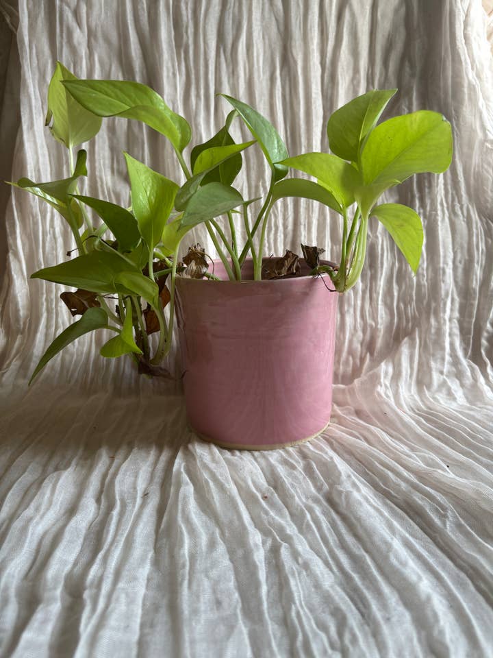 Candy Floss Pink Handmade Ceramic 12cm Plant Pot for wholesale by Charlotte Manser Ceramics