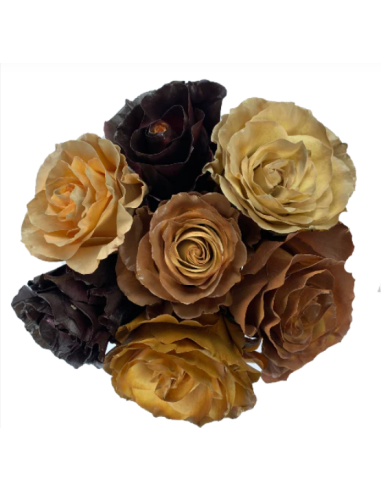 Florasource - Wholesale Fresh Cut Flowers - Macchiato ASSORTED Tinted Roses 100 Stems 50cm1