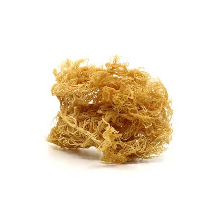 Wildcrafted Raw Sea Moss for wholesale by Shop Essential Moss