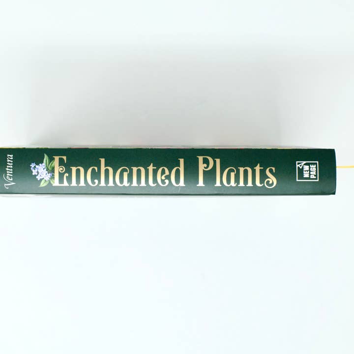 Red Wheel/Weiser LLC - Wholesale Nature & Outdoors - Enchanted Plants: A Treasury of Botanical Folklore and Magic8