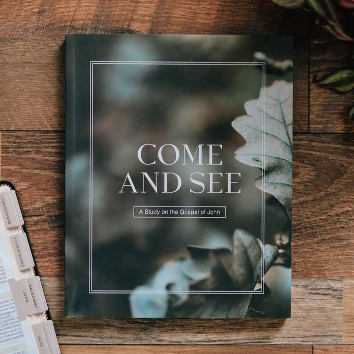 Come and See | Bible Study on John - Men for wholesale by The Daily Grace Co