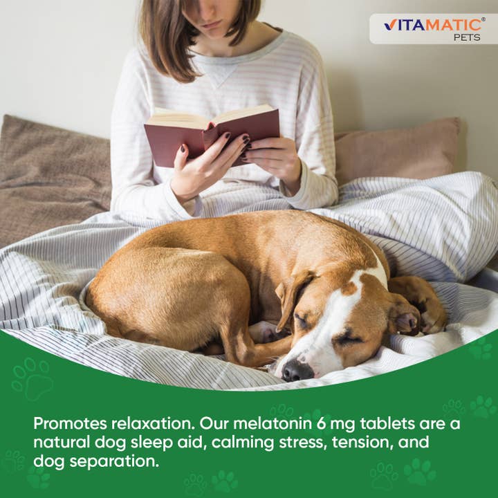 Vitamatic – wholesale Pet supplement – Dog – Vitamatic Melatonin for Dogs - 6 mg | 120 Beef Flavored4