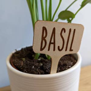 Slate plant labels wholesale