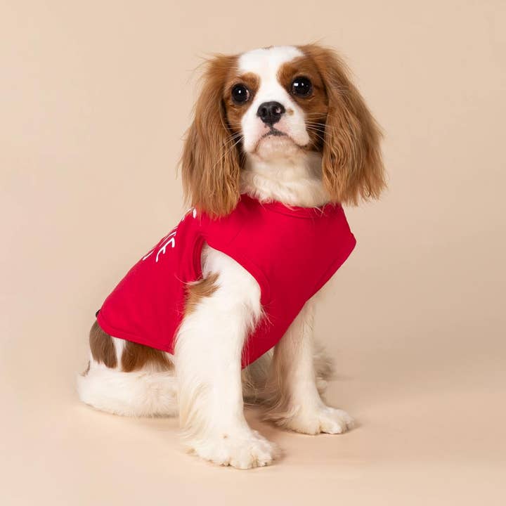 Fitwarm - Wholesale Pet shirt – Dog - I'm the Favorite Child Dog Shirt3