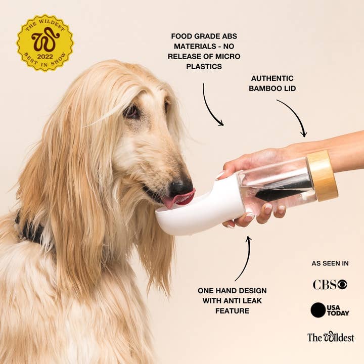 Merci Collective - Vendita all'ingrosso Borraccia - Cani - Bottiglia d'acqua per animali domestici con infuso di cristallo - ossidiana nera