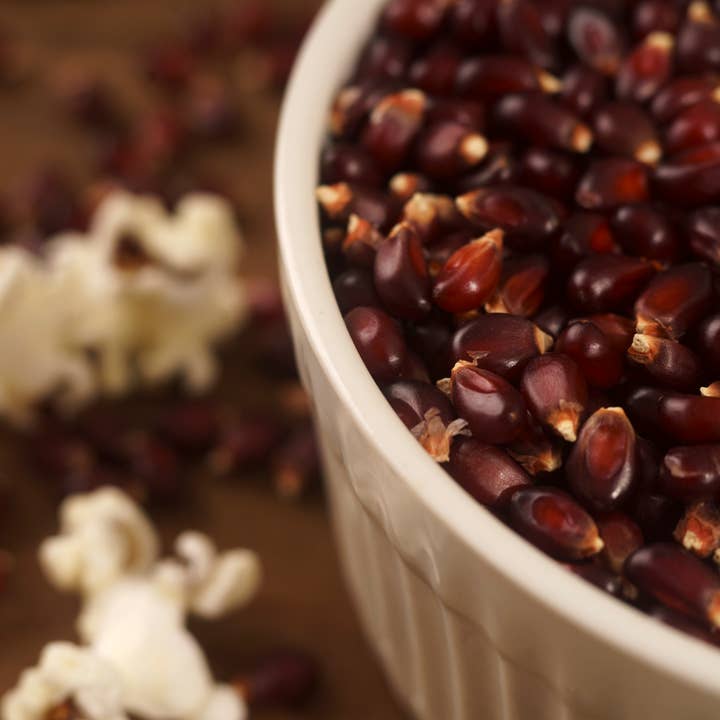 Seven Forks Farm - Wholesale Popcorn - Variety Pack of 12-12oz. Bags of Family Grown Popcorn1