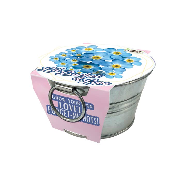 Silver Circle Products - Wholesale Plant Seeds - Lil' Bucket of Love - Grow Your Own Forget-Me-Nots