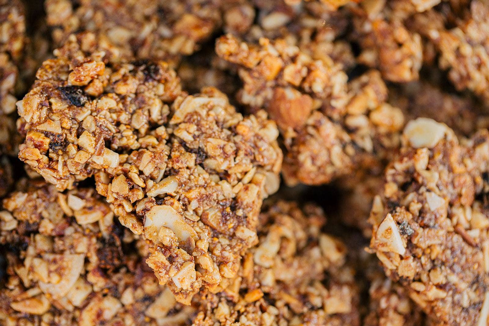 Tucker&Co. Granola - Vendita all'ingrosso Muesli - Avventura Paleo Granola1
