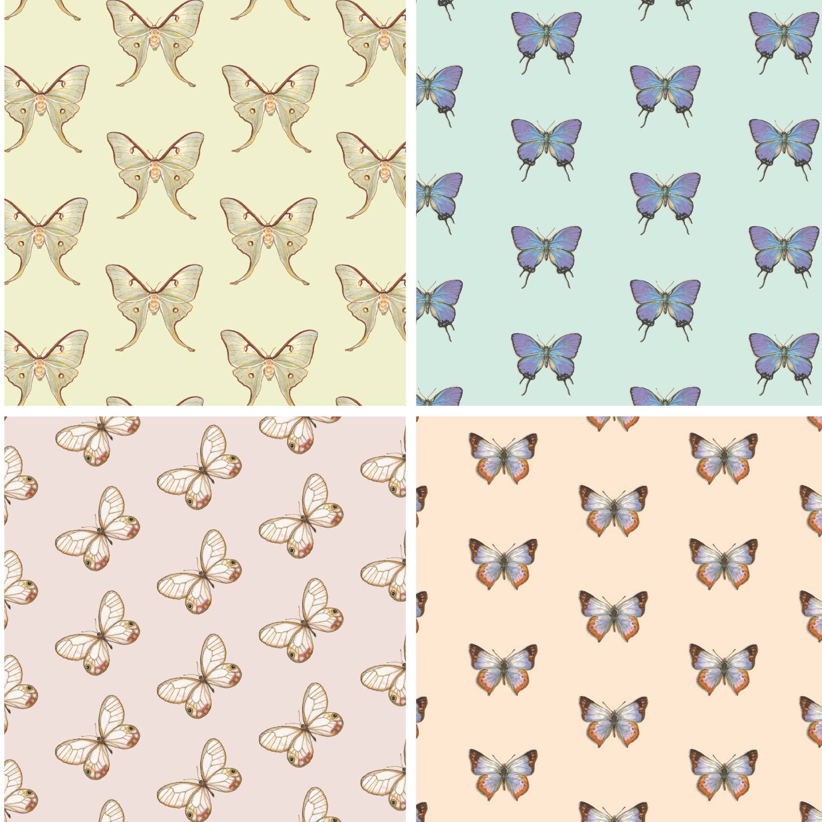 Yeesan Loh - Wholesale Flat Wrap - Gift Wrap / Butterflies & Moths7