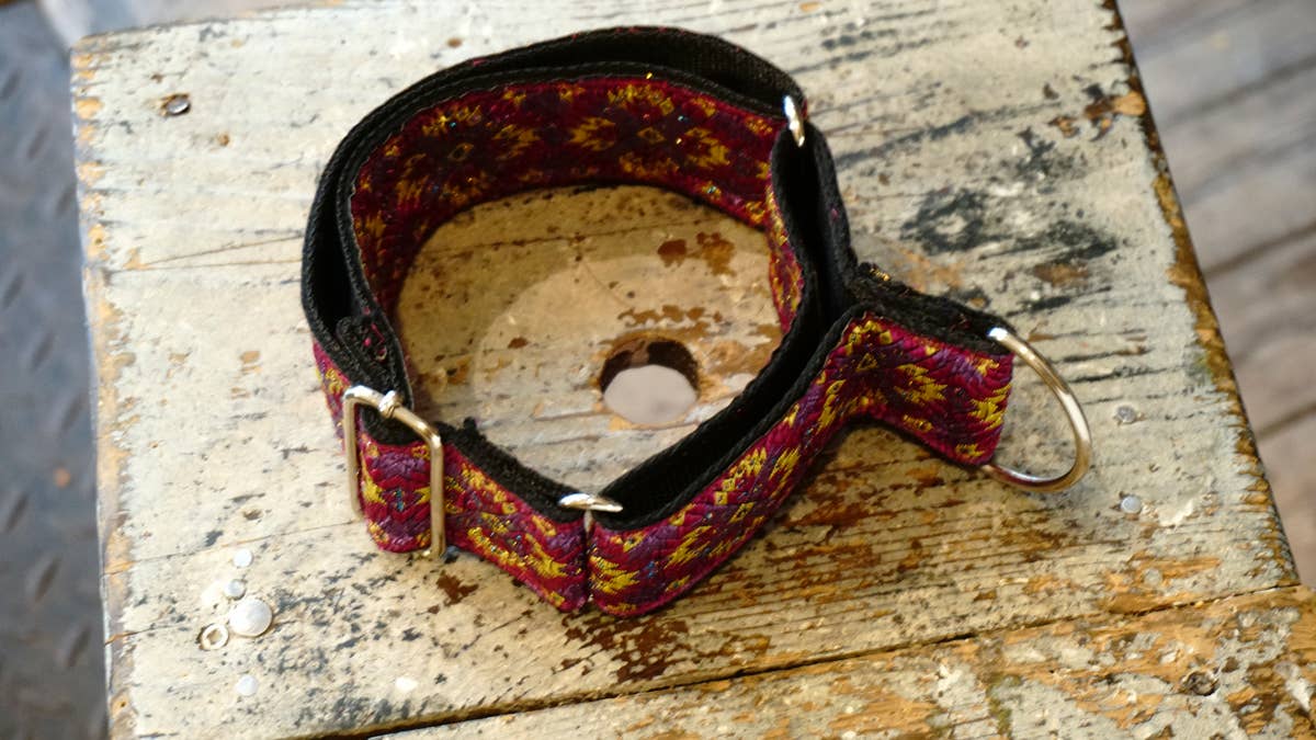 hundsfutter - Wholesale Pet Collar - Dog - Extra strong Martingale collar for dogs2