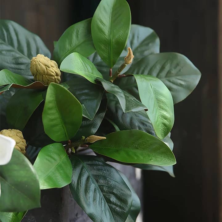 Angel Isabella – Großhandel Kunstpflanzen – 30 Zoll — Lebensechte künstliche Magnolie mit Knospen, Real Touch2