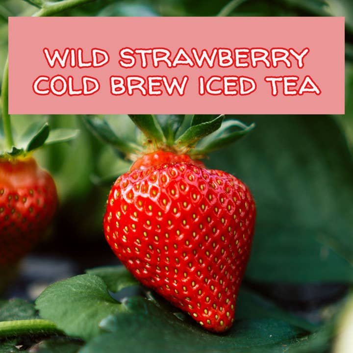 The Grateful Tea Co - Wholesale Tea Bags - Wild Strawberry Iced Tea Bags, (3 Sizes)