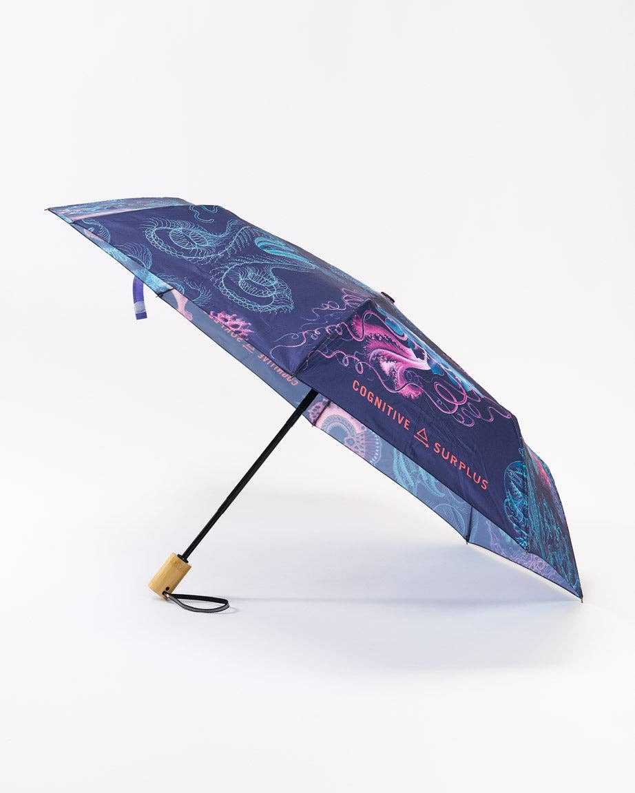 Cognitive Surplus EU - Wholesale Umbrella - Unisex - Haeckel Jellyfish Umbrella (Case of 4)0