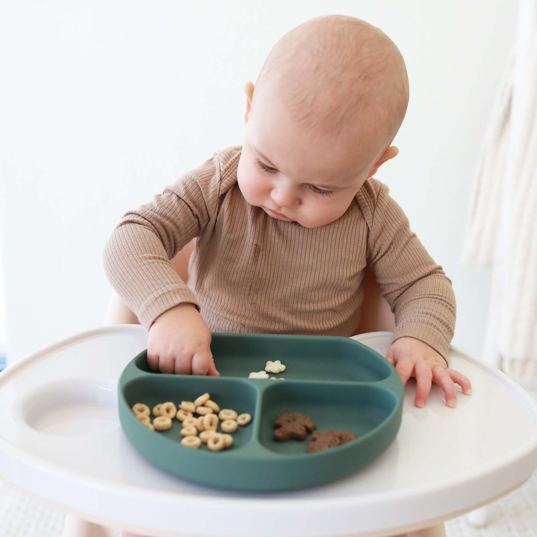 Caden Lane - Wholesale Dinner Plate - Kids & Baby - Silicone Suction Plate11