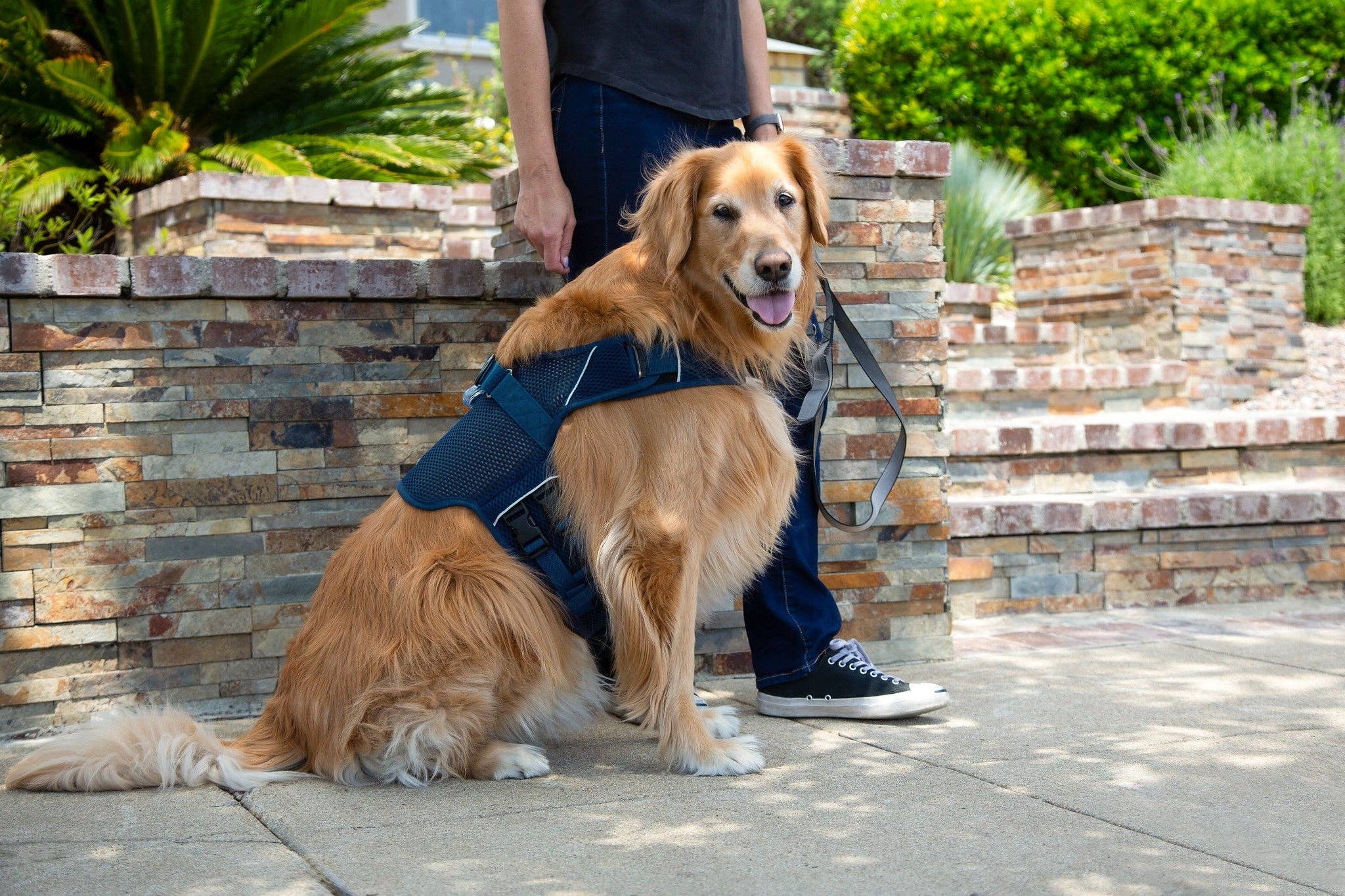 Sleepypod - Wholesale Pet Harness - Dog - Martingale Calming Harness for dogs23