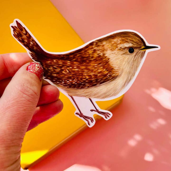 Pixiecraft - Wholesale Sticker - Garden Birds 10cm Vinyl Stickers: Nature Inspired Waterproof Decals5