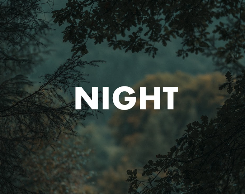 Moodcast Fragrance Co. - Vente Huile parfumée - Diffuseur à roseaux - Nuit & Jour - Tombée de la nuit - Bocal en verre de 3,4 oz1