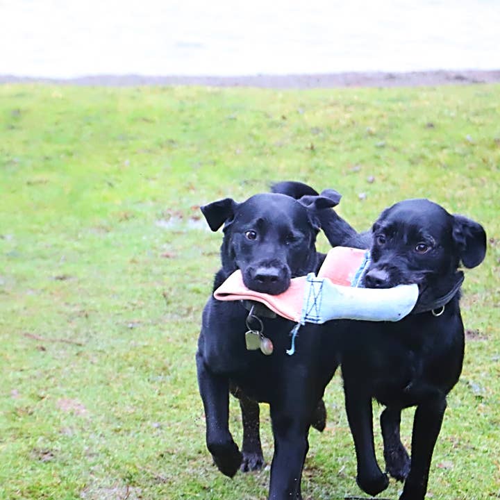 Go Go Dog Toys - Wholesale Pet Rope Toy - Dog - DUAL HANDLED RECYCLED FIRE HOSE TUG OF WAR DOG TOY4