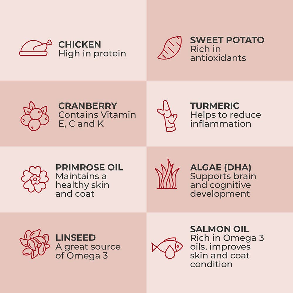 Henry Wag – wholesale Pet treats – Dog – Doggy Dazzler – Skin & Coat – Case of 16 x 120g Tubs1