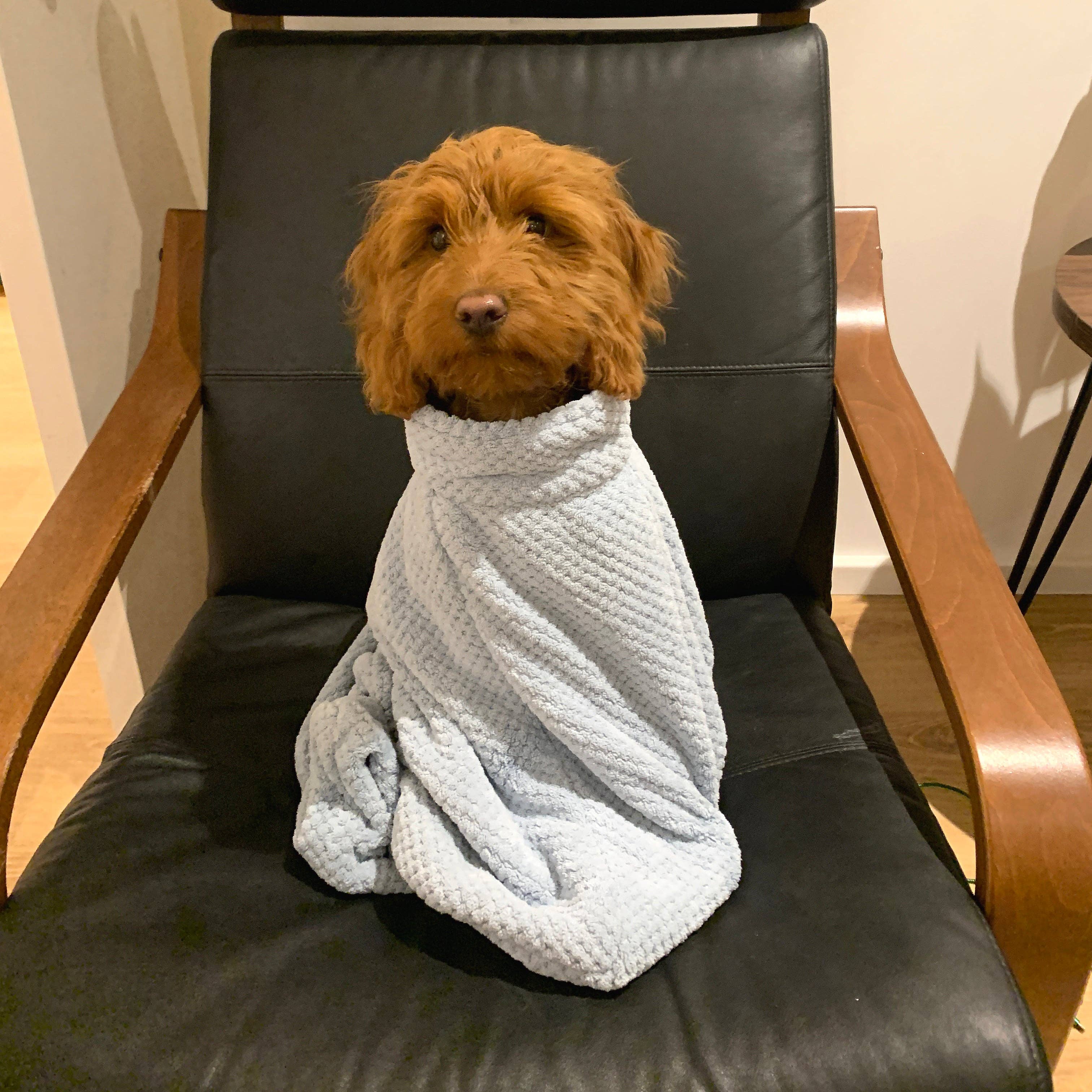 Pet Wiz – Engroshandel Håndklæde til kæledyr - Hund – Premium mikrofiber tørrepose til hunde11