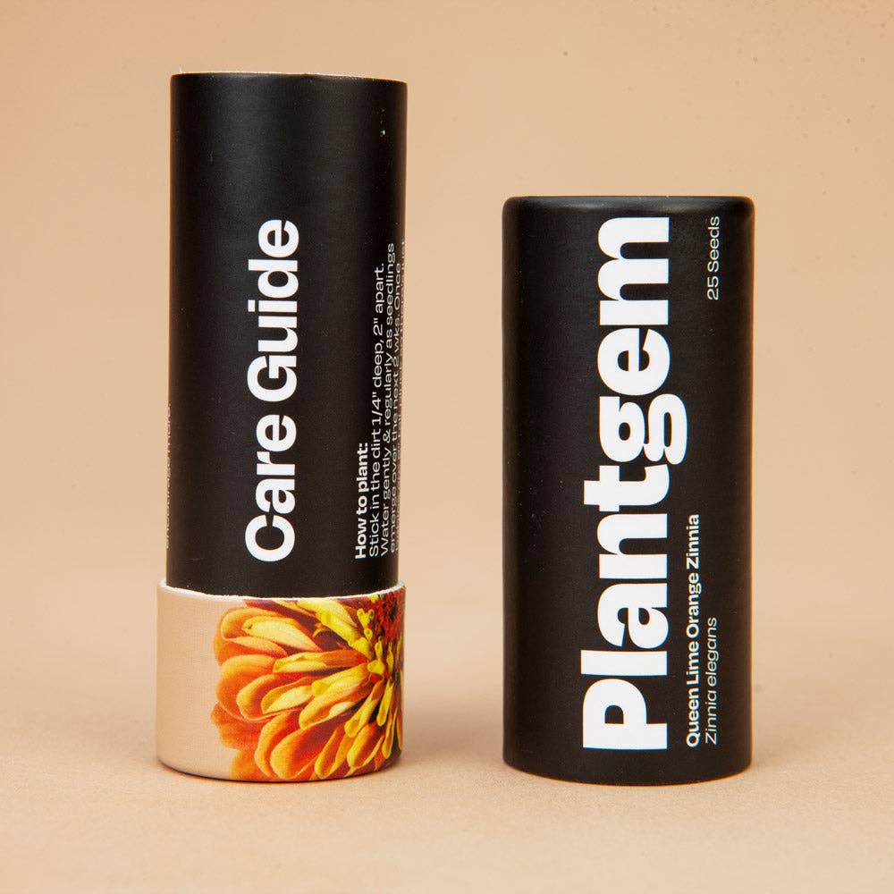 Plantgem - Wholesale Plant Seeds - Queen Lime Orange Zinnia - 25 Seeds3