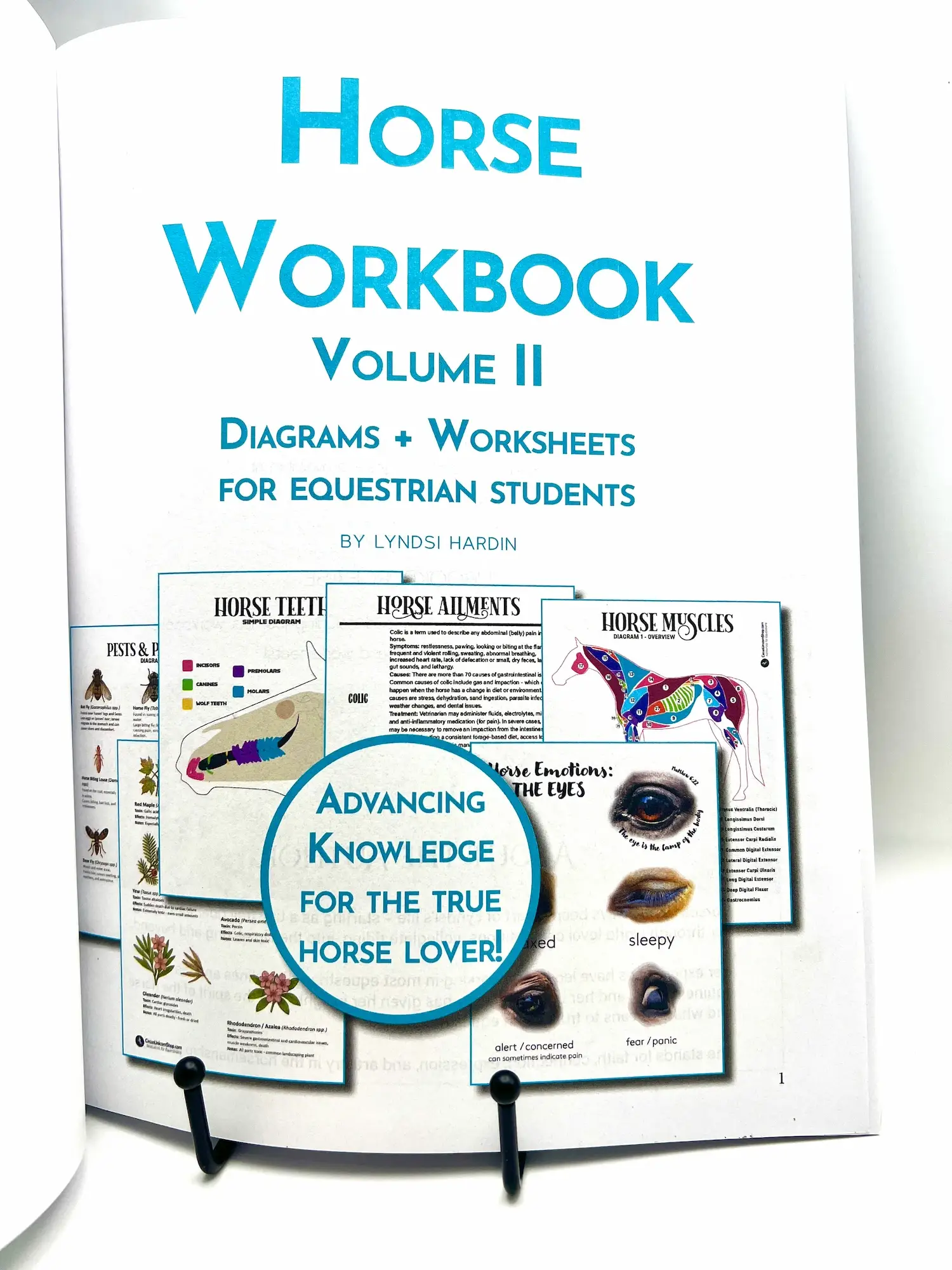 Circus Unicorn Shop - Wholesale Book - Kids - Horse Workbook Vol. II1