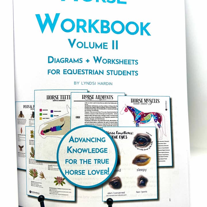 Circus Unicorn Shop - Wholesale Book - Kids - Horse Workbook Vol. II1