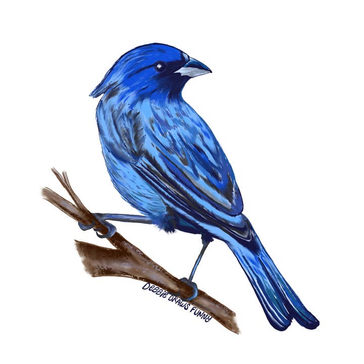Indigo Bunting-klistermærke - fuglenørd-klistermærke, håndtegnet for engroshandel hos Debbie Draws Funny