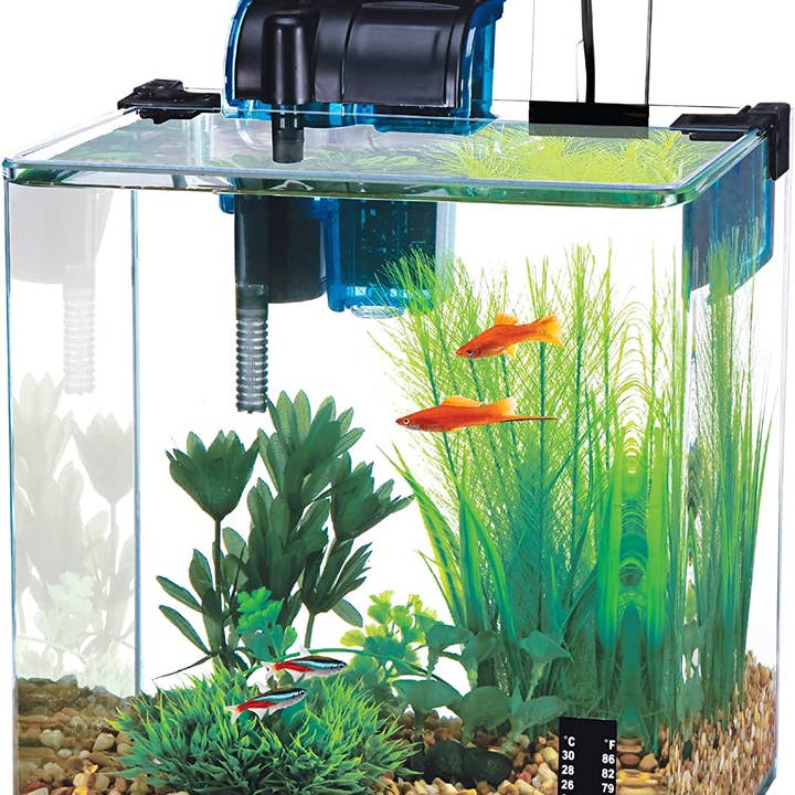 Penn-Plax - Wholesale Terrarium - Water-World Vertex Aquarium Kit with LED Light – 5 Gallon