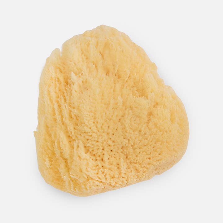 Bath Accessories Company - Wholesale Bath Pouf/Sponge - Natural Sea Sponges