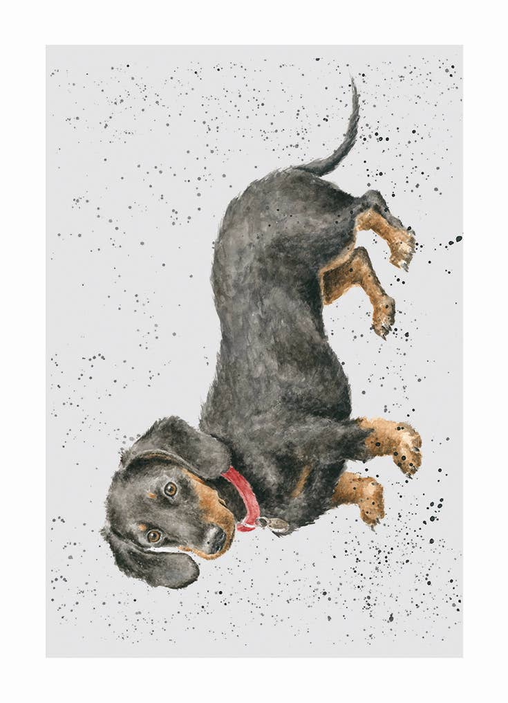 Wrendale Designs - Wholesale Everyday Greeting Card - Daschund0